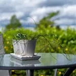 Vakantiehuis Saarland By Interhome