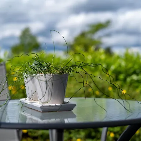 Сasa de vacaciones Saarland By Interhome